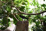 DSC_9044.JPG